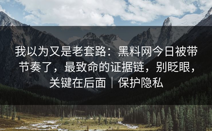 我以为又是老套路：黑料网今日被带节奏了，最致命的证据链，别眨眼，关键在后面｜保护隐私