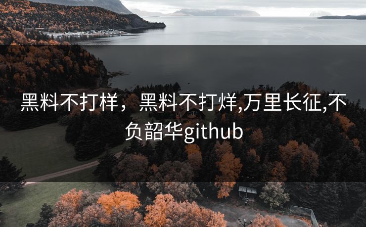 黑料不打样，黑料不打烊,万里长征,不负韶华github
