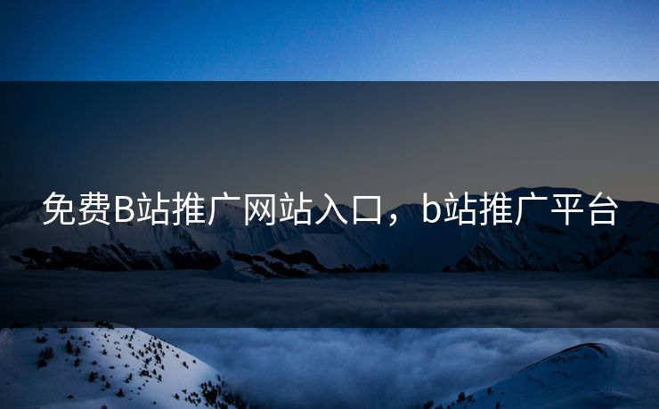 免费B站推广网站入口，b站推广平台