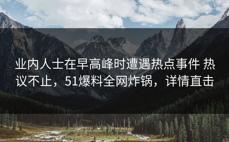 业内人士在早高峰时遭遇热点事件 热议不止，51爆料全网炸锅，详情直击